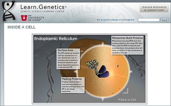 Examples of elearning: Inside a cell -- from the Univ of Utah