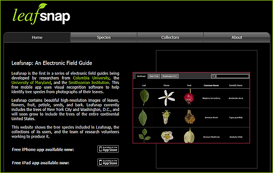 leafsnap.com  -- identify a tree by taking a picture of its leaves