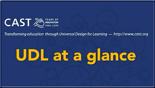 Universal Design for Learning (UDL) at a glance -- video