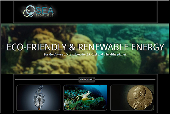 SEA-BiofuelDotCom-march2013