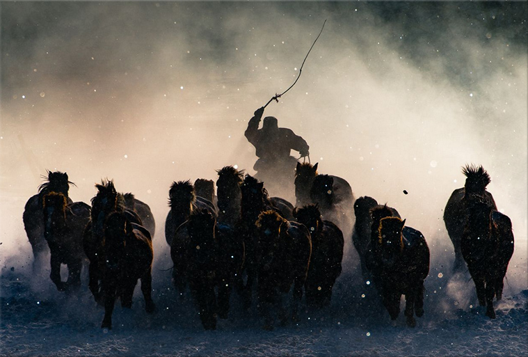 Horseman-NationalGeographic2016Winner