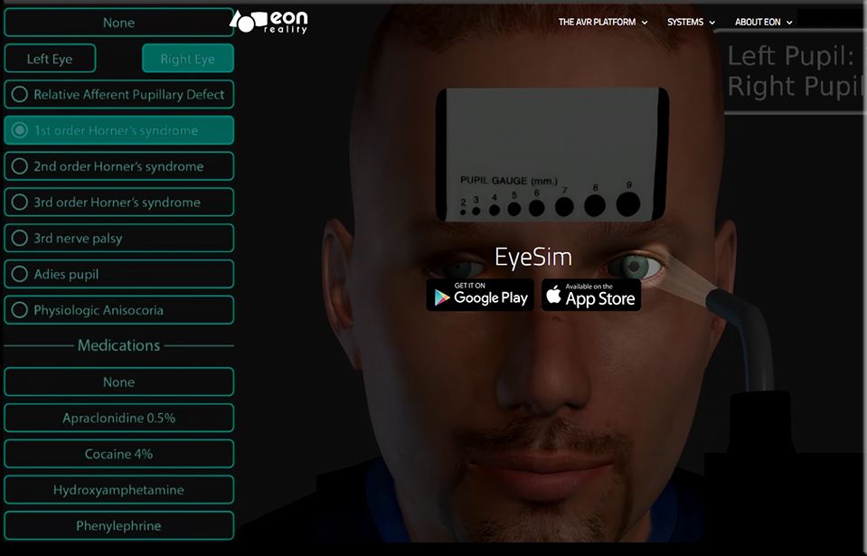 EyeSim