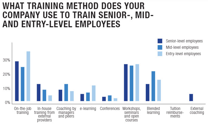 types of training offered to entry level, mid- and senior- level employees