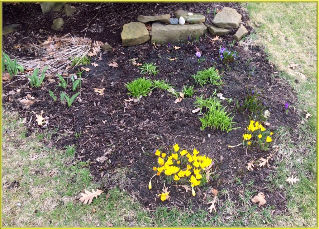 Flowers right outside a funeral home -- new life, right next to death