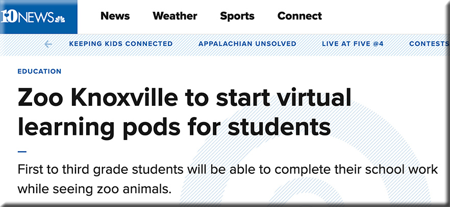 Zoo Knoxville to start virtual learning pods for students