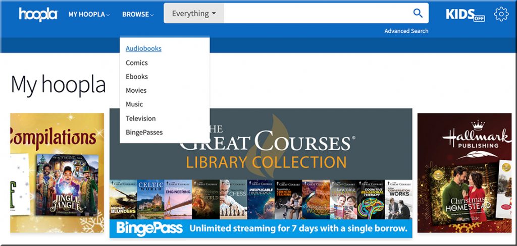 hoopla digital streaming service -- borrow books, music, movies, and more. Very cool service.