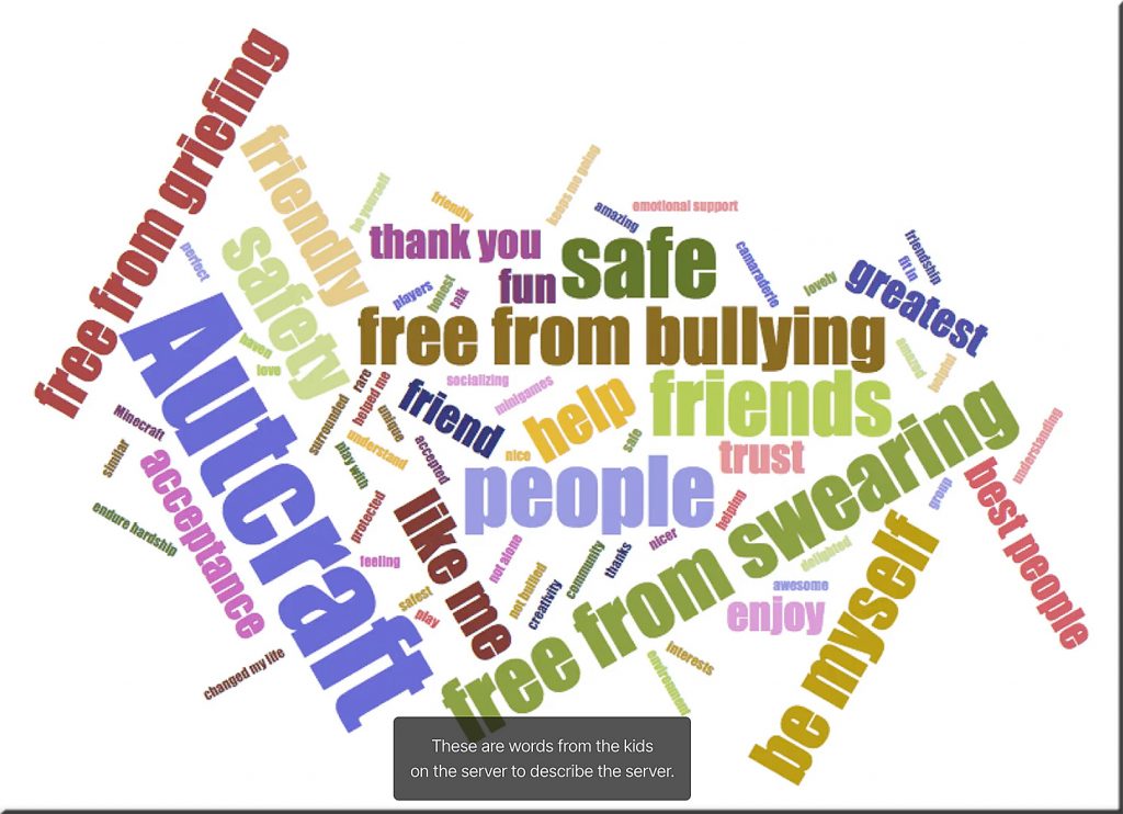 These are the words autistic students used to describe their experience with Stuart's Minecraft server